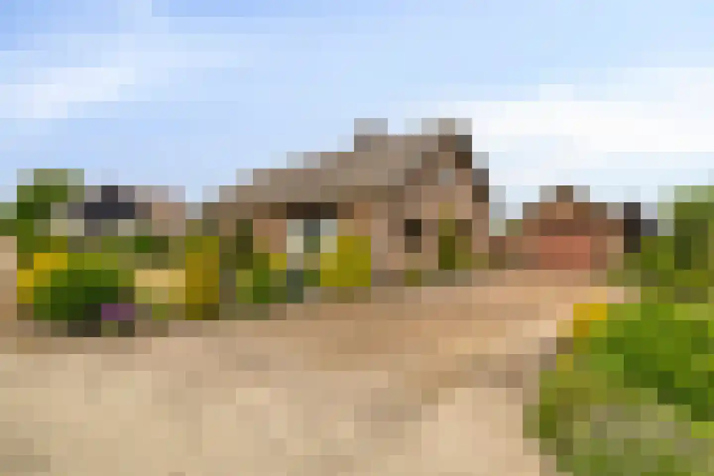 Bornhemweg 150 Oudenbosch thumbnail 4
