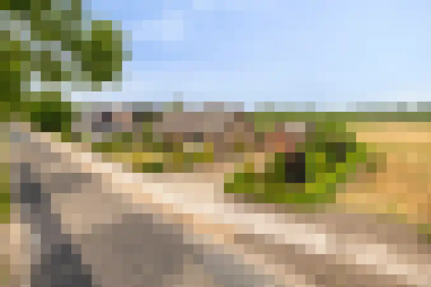 Bornhemweg 150 Oudenbosch thumbnail 40