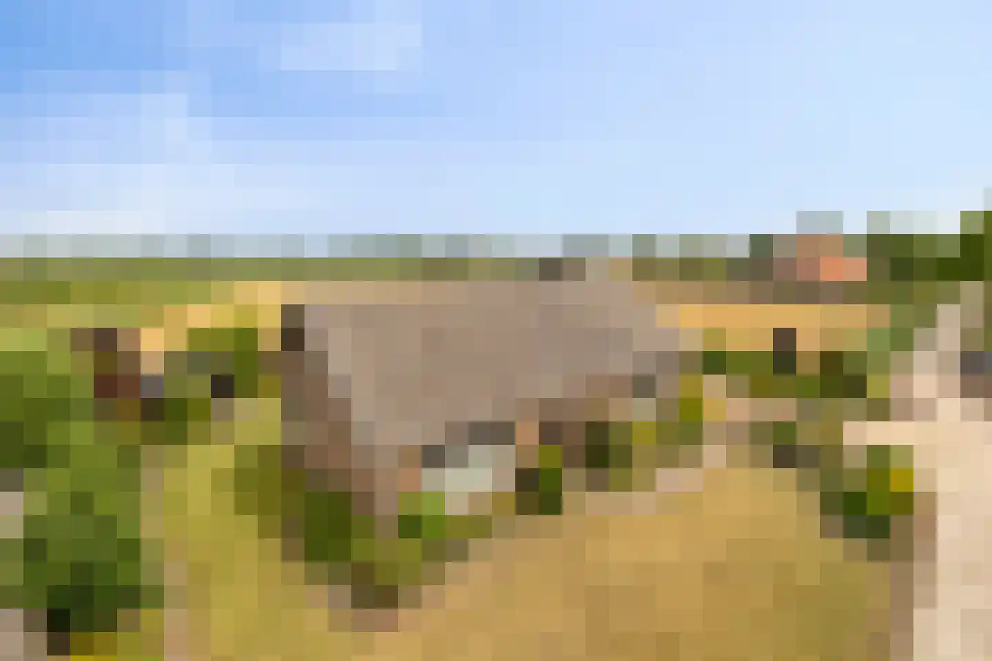 Bornhemweg 150 Oudenbosch thumbnail 43