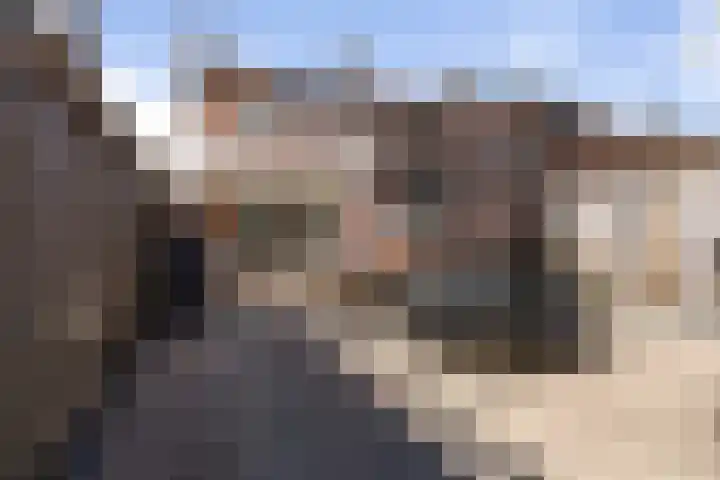Bornhemweg 38 Oudenbosch thumbnail 43