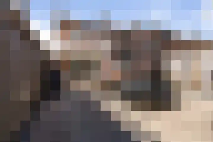 Bornhemweg 38 Oudenbosch thumbnail 7