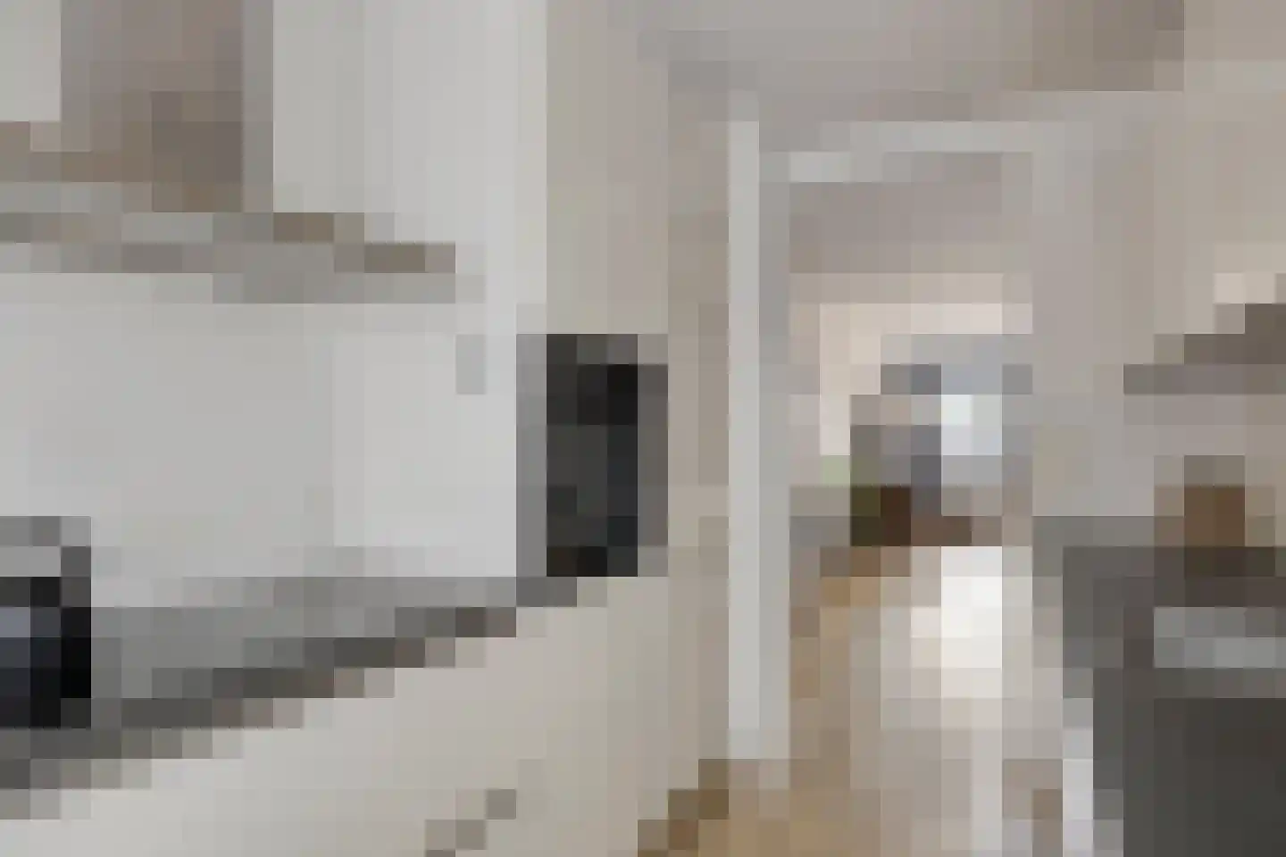 Bornholmpier 17 Zaandam thumbnail 18