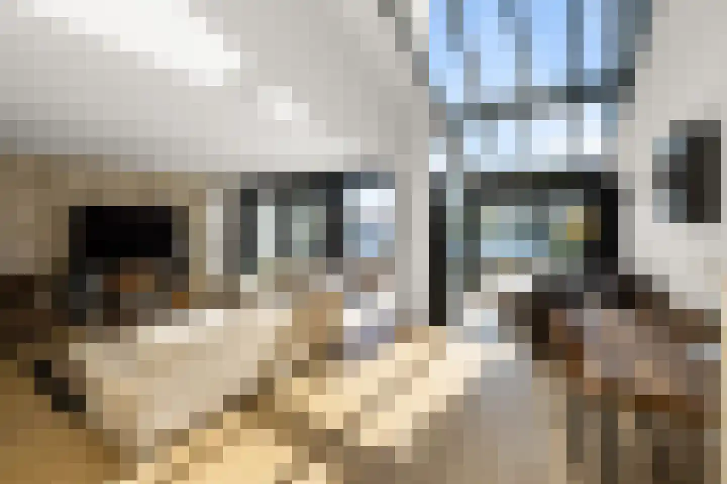 Bornholmpier 17 Zaandam thumbnail 8