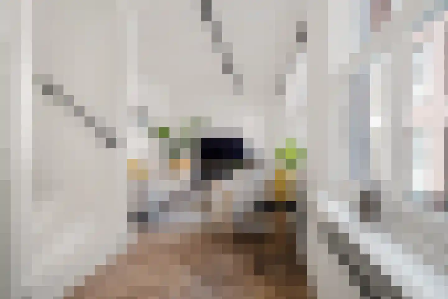 Bornhovestraat 25 Zutphen thumbnail 13