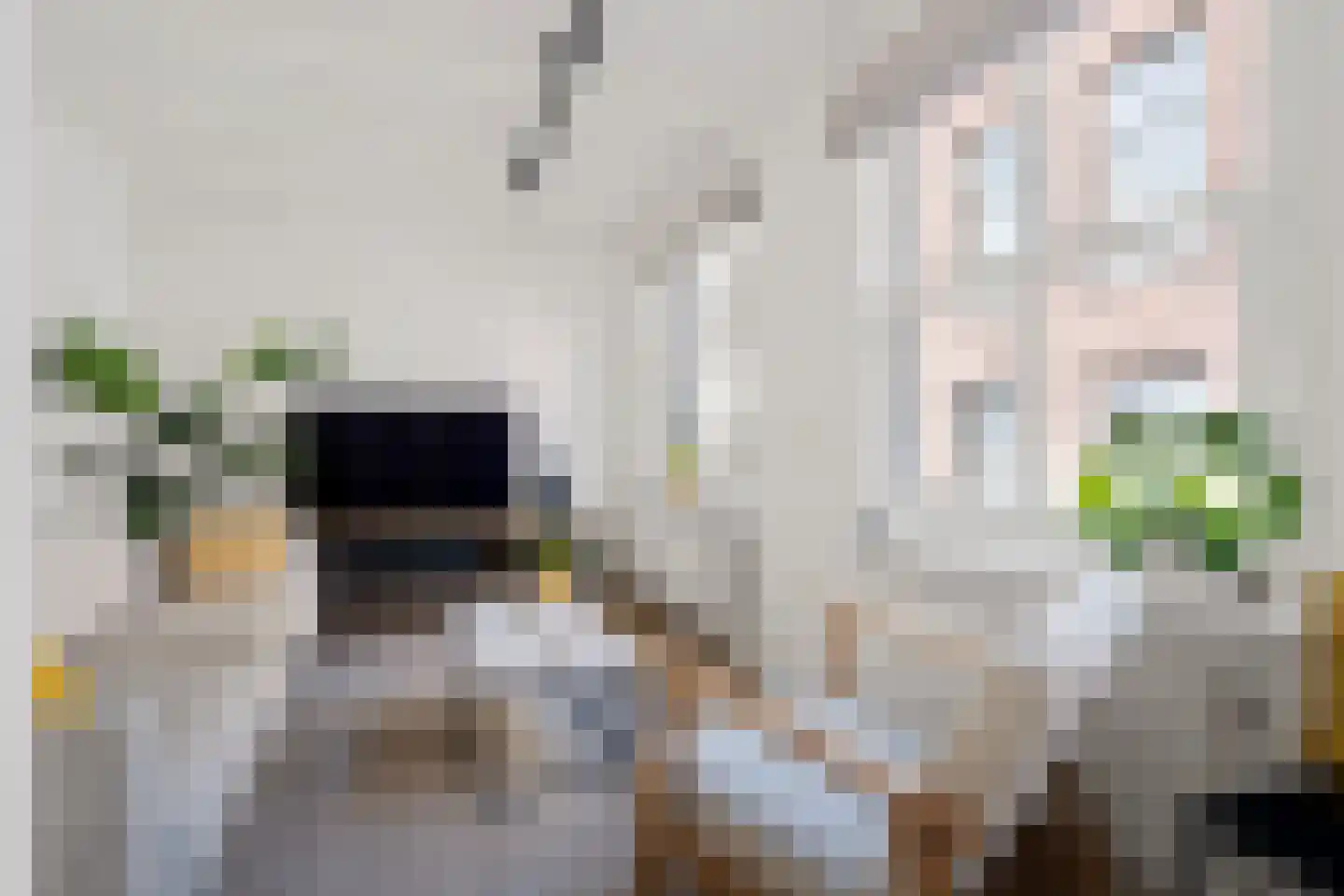 Bornhovestraat 25 Zutphen thumbnail 15
