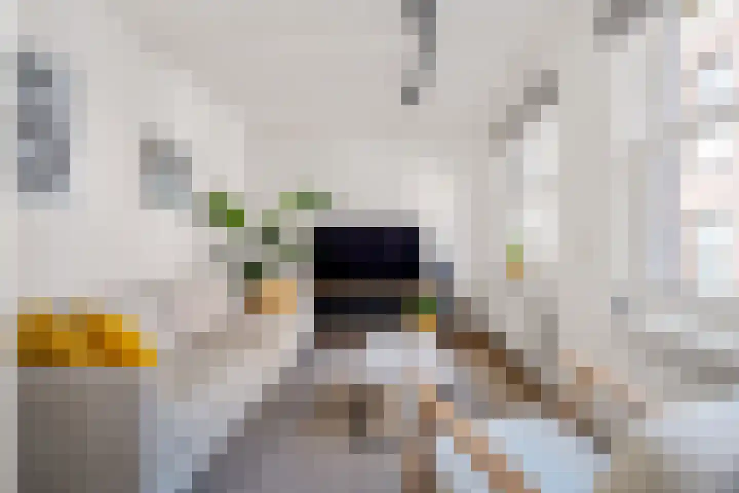 Bornhovestraat 25 Zutphen thumbnail 16