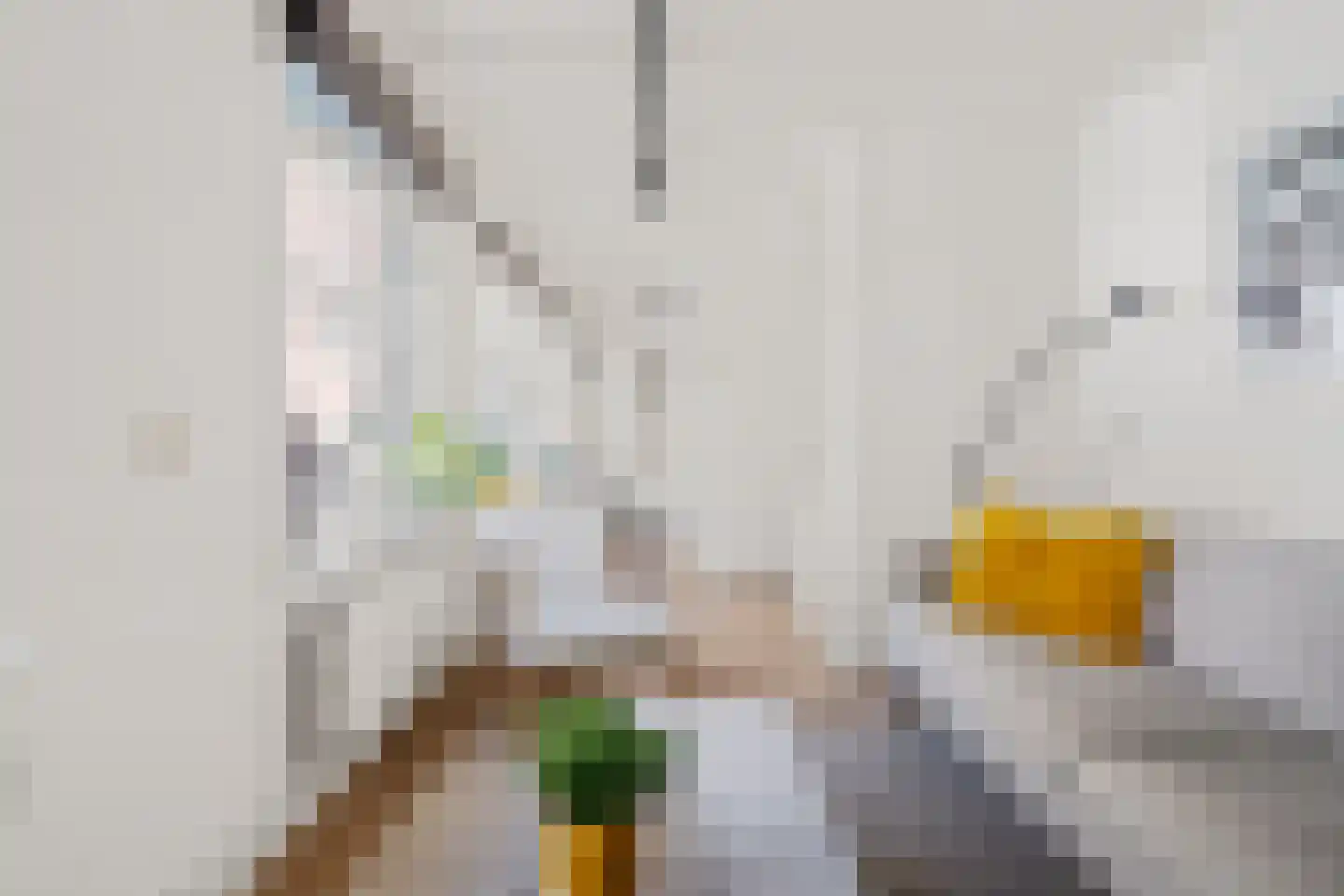 Bornhovestraat 25 Zutphen thumbnail 18
