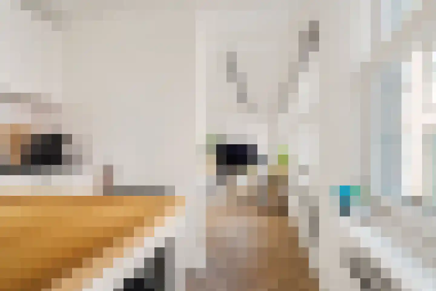Bornhovestraat 25 Zutphen thumbnail 25