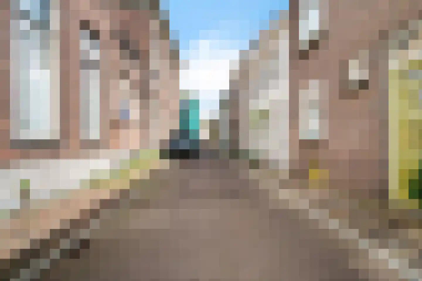 Bornhovestraat 25 Zutphen thumbnail 35