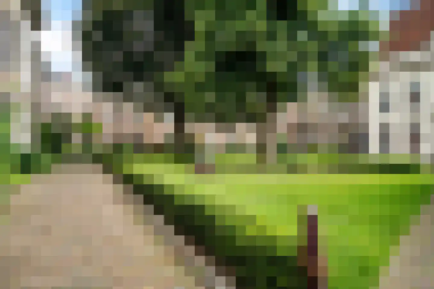 Bornhovestraat 25 Zutphen thumbnail 39