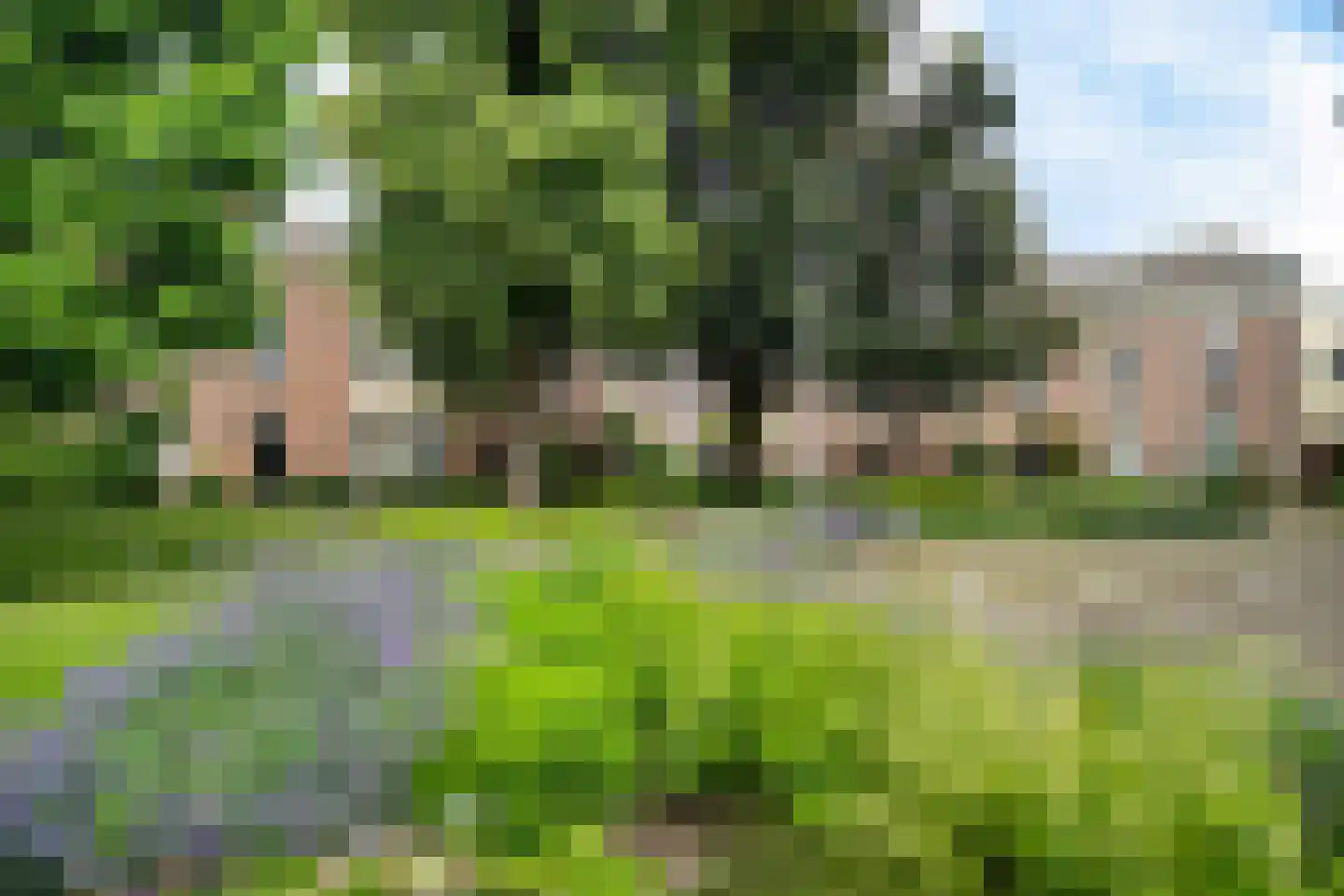 Bornhovestraat 25 Zutphen thumbnail 40