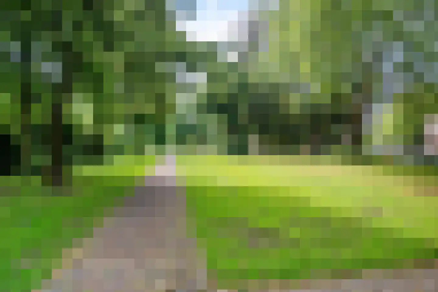 Bornhovestraat 25 Zutphen thumbnail 41