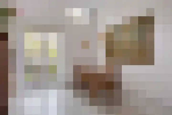 Bornhovestraat 35 Zutphen thumbnail 4
