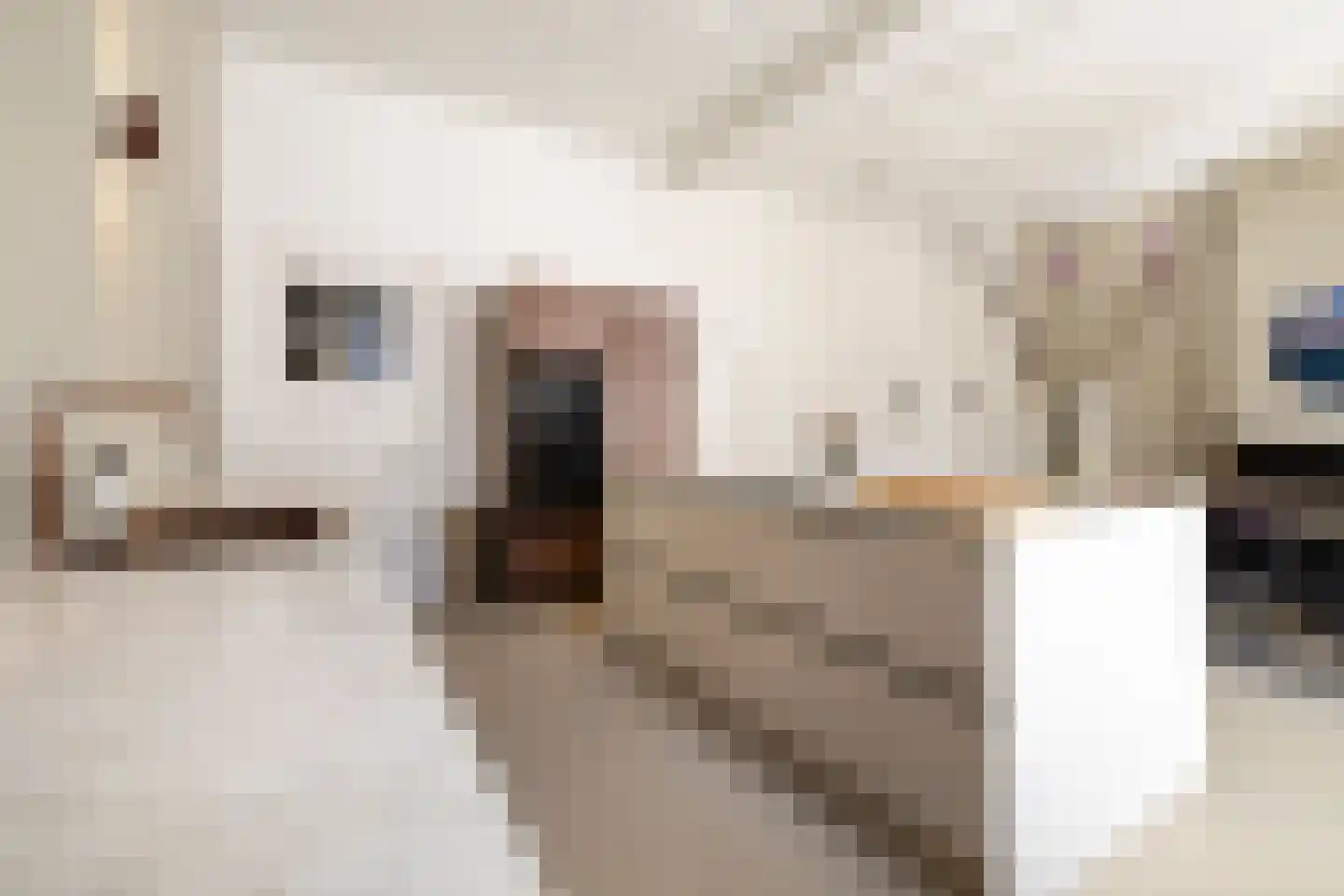 Bornhovestraat 43 Zutphen thumbnail 10