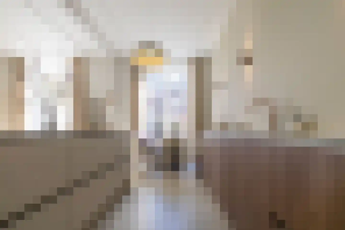Bornhovestraat 43 Zutphen thumbnail 11