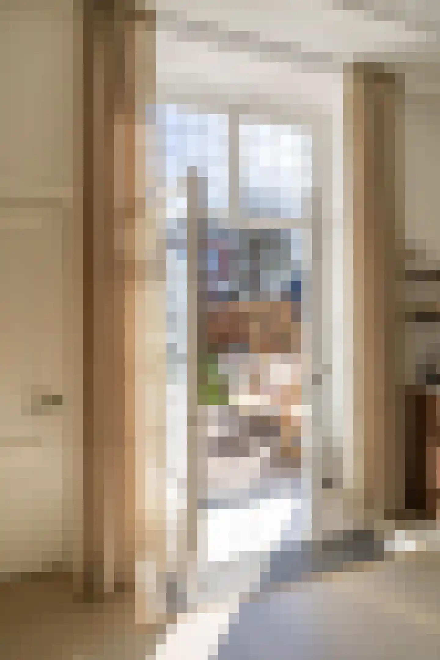 Bornhovestraat 43 Zutphen thumbnail 17