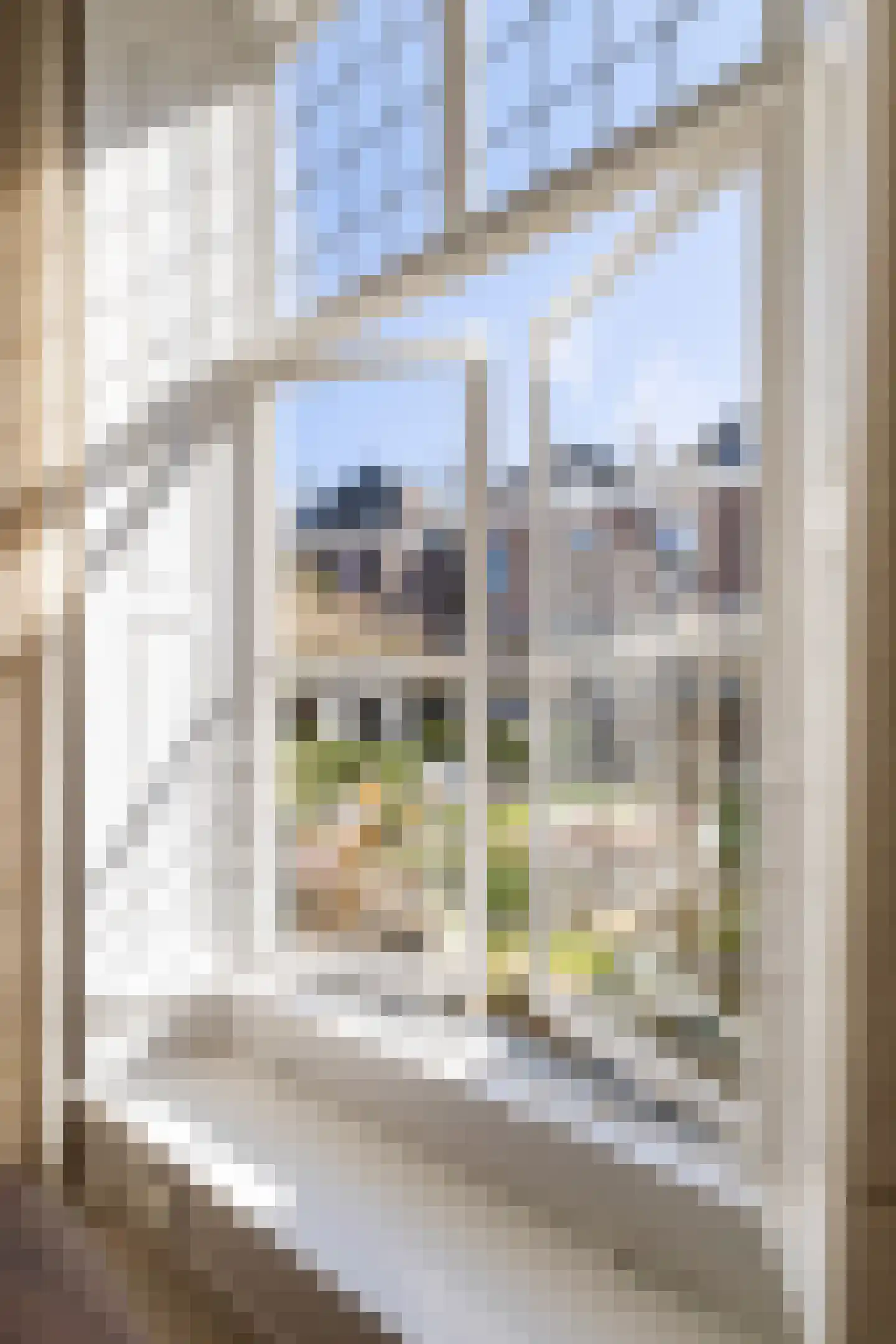 Bornhovestraat 43 Zutphen thumbnail 21