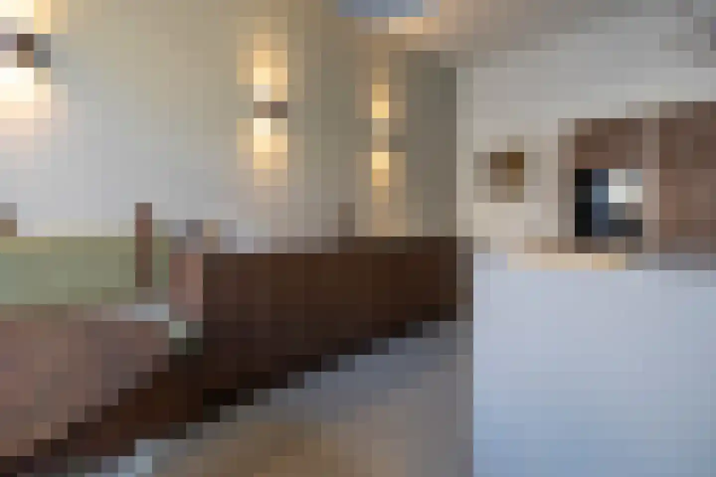 Bornhovestraat 43 Zutphen thumbnail 23
