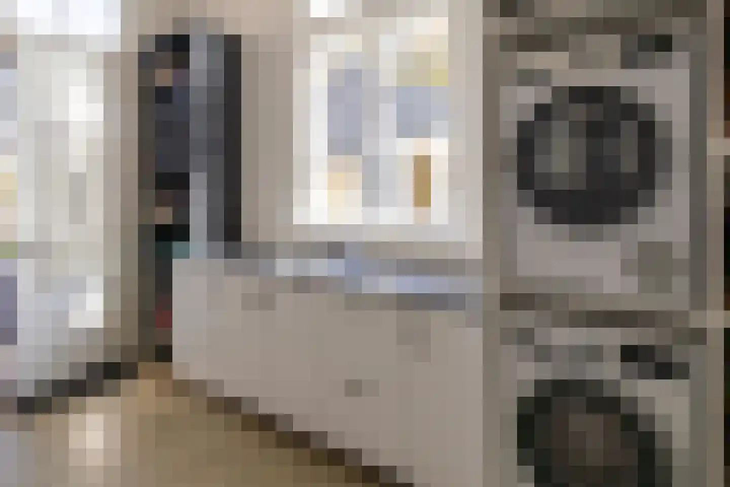 Bornhovestraat 43 Zutphen thumbnail 32
