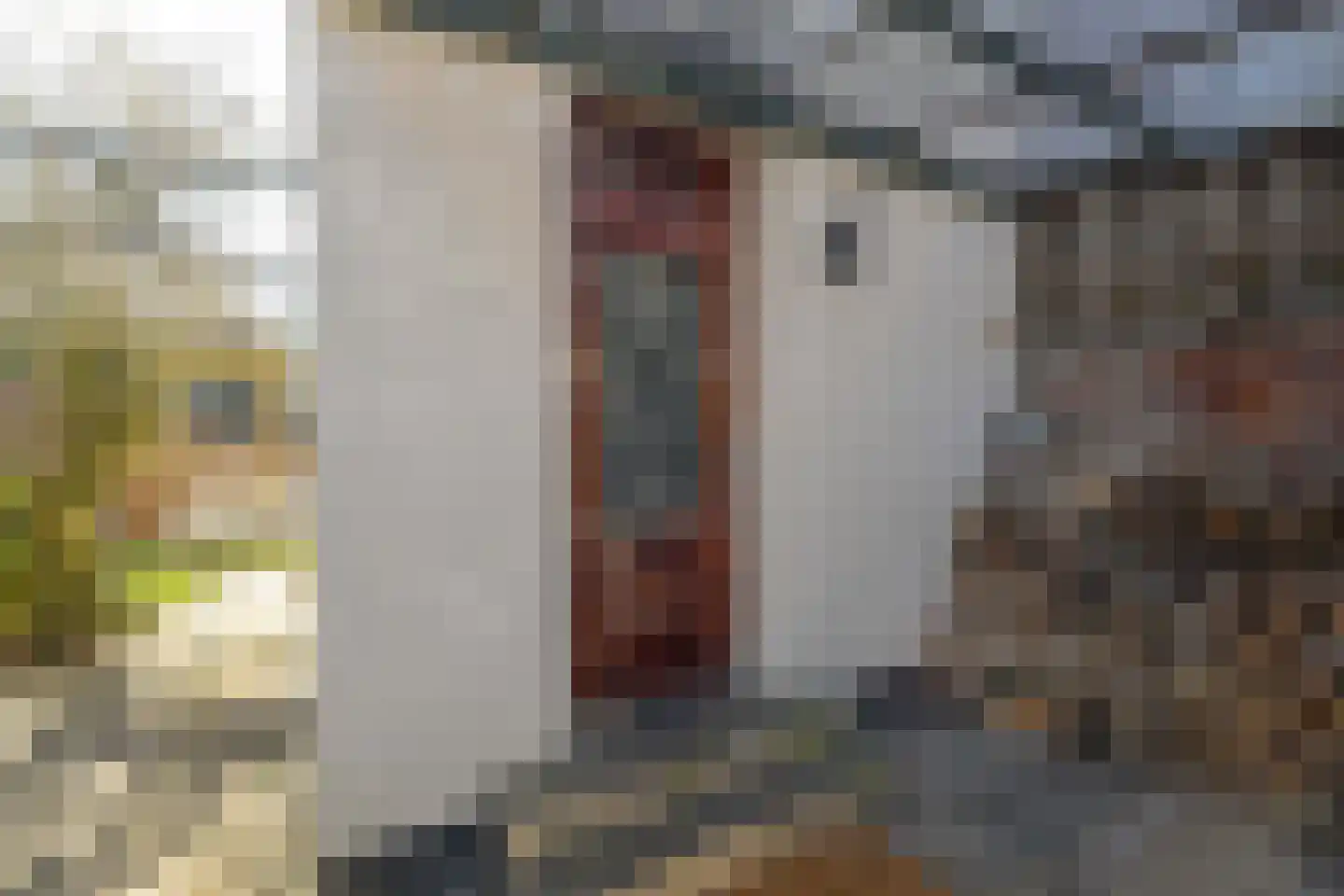 Bornhovestraat 43 Zutphen thumbnail 34