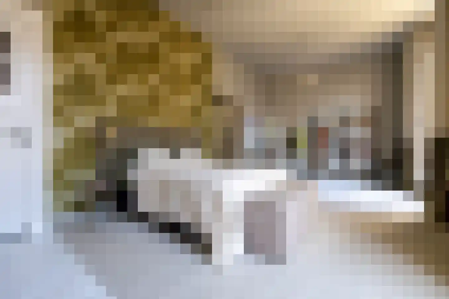 Bornhovestraat 43 Zutphen thumbnail 40