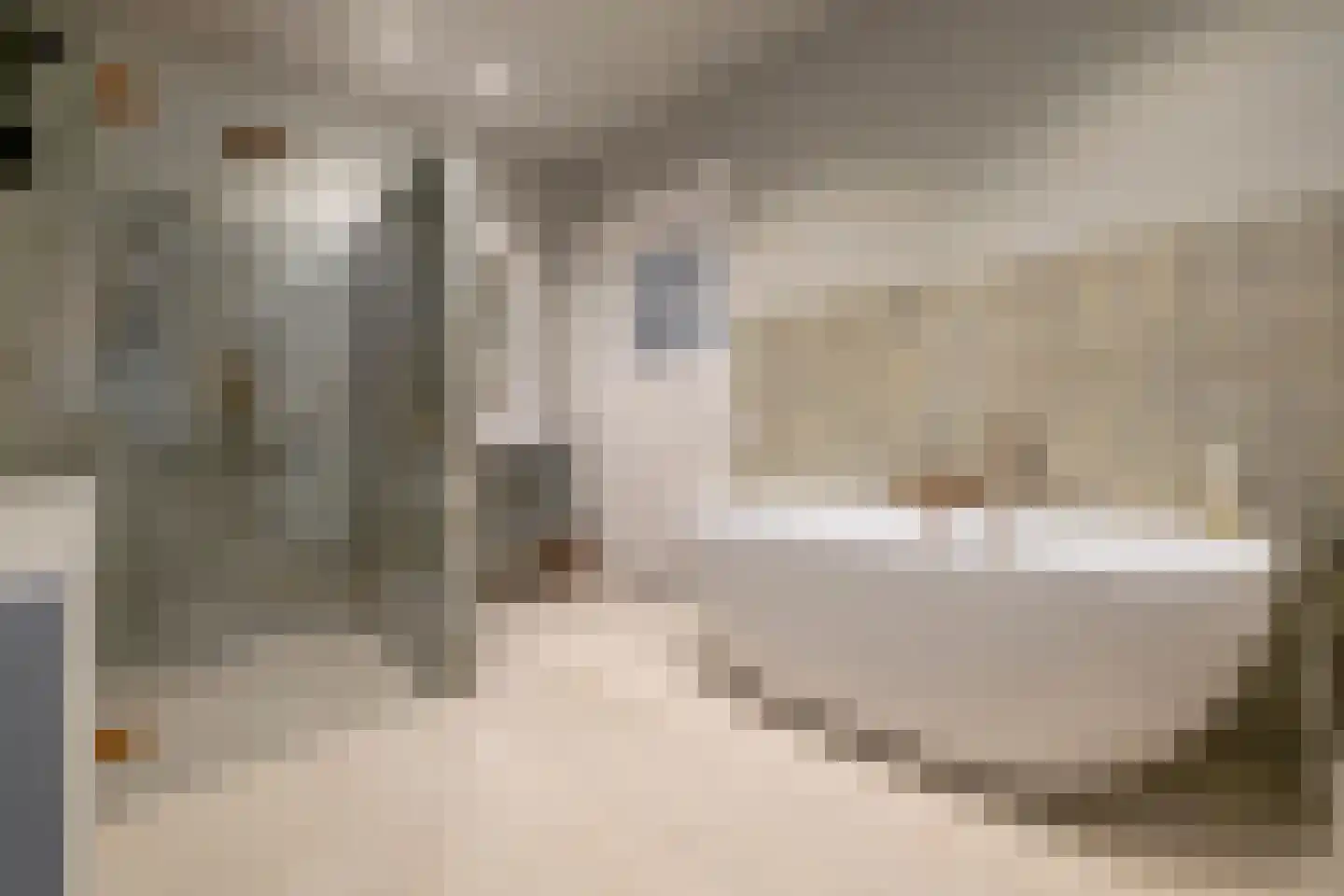 Bornhovestraat 43 Zutphen thumbnail 43