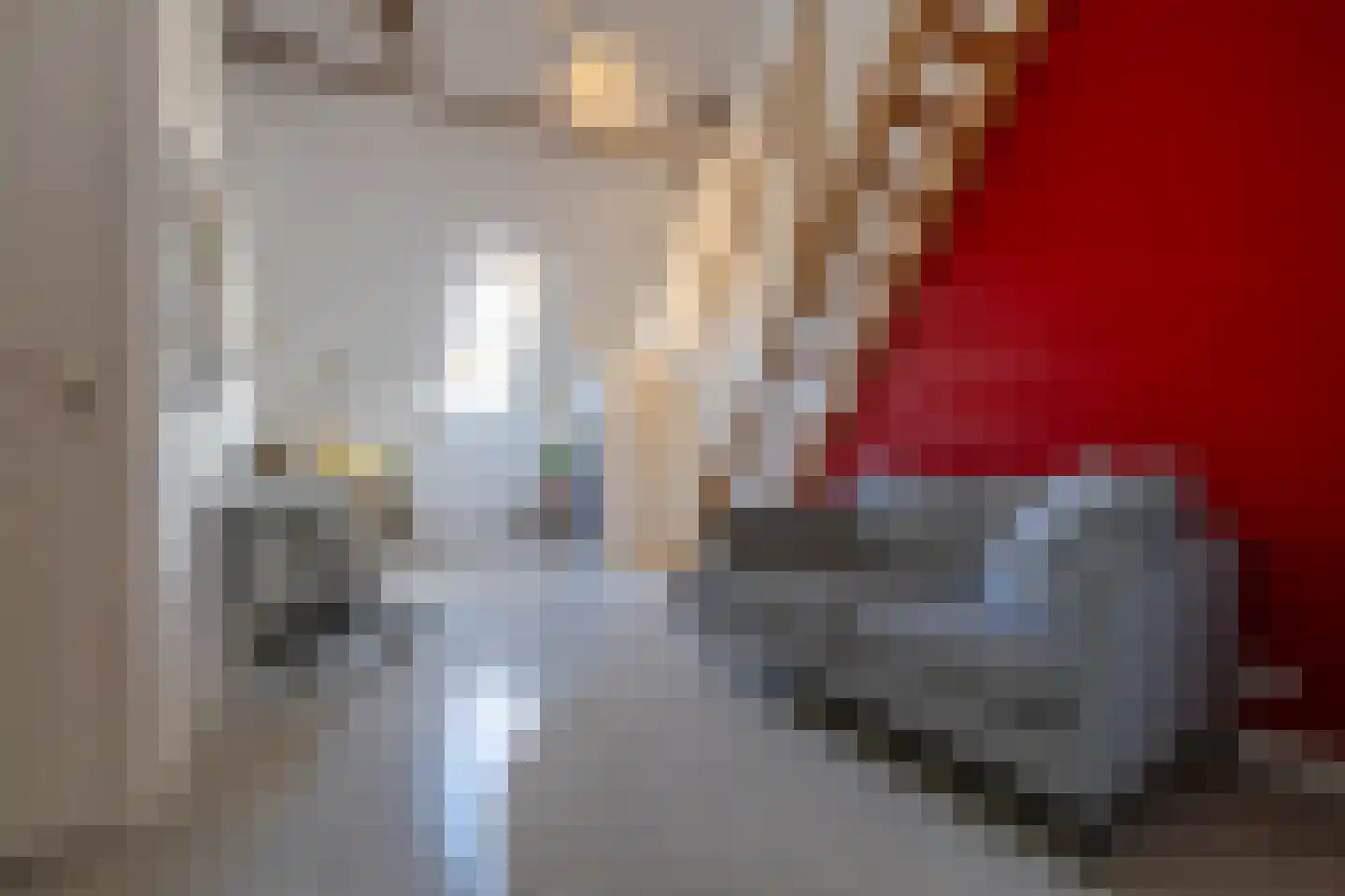 Bornhovestraat 43 Zutphen thumbnail 54