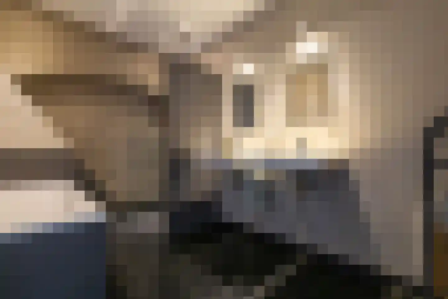 Bornhovestraat 43 Zutphen thumbnail 70