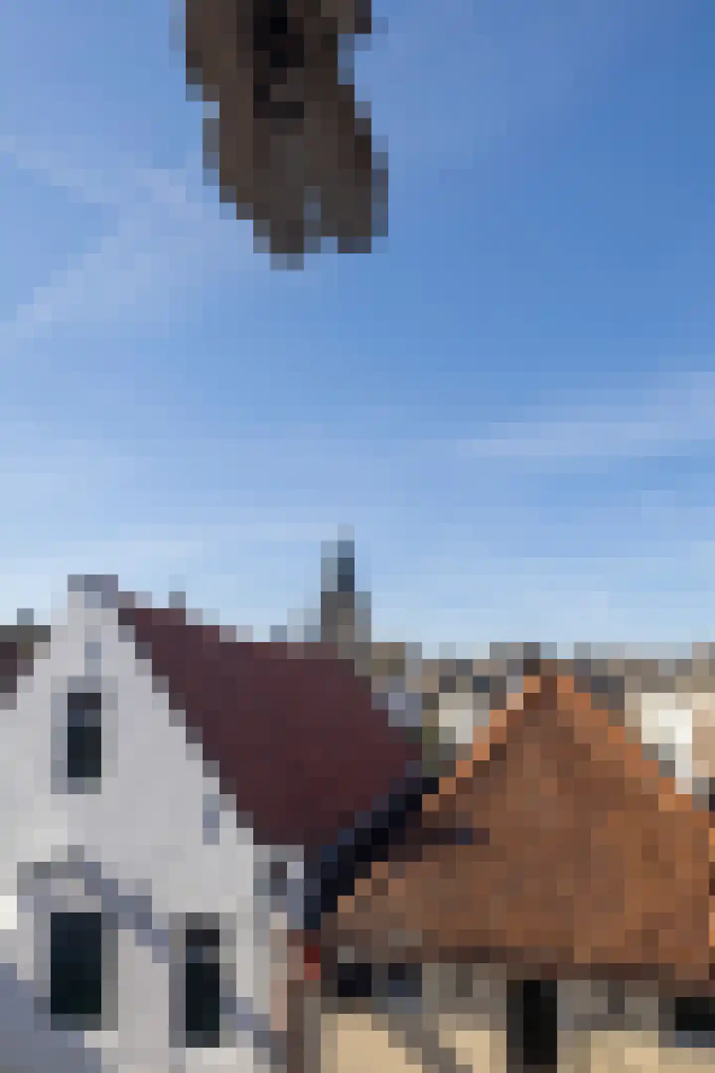 Bornhovestraat 43 Zutphen thumbnail 74