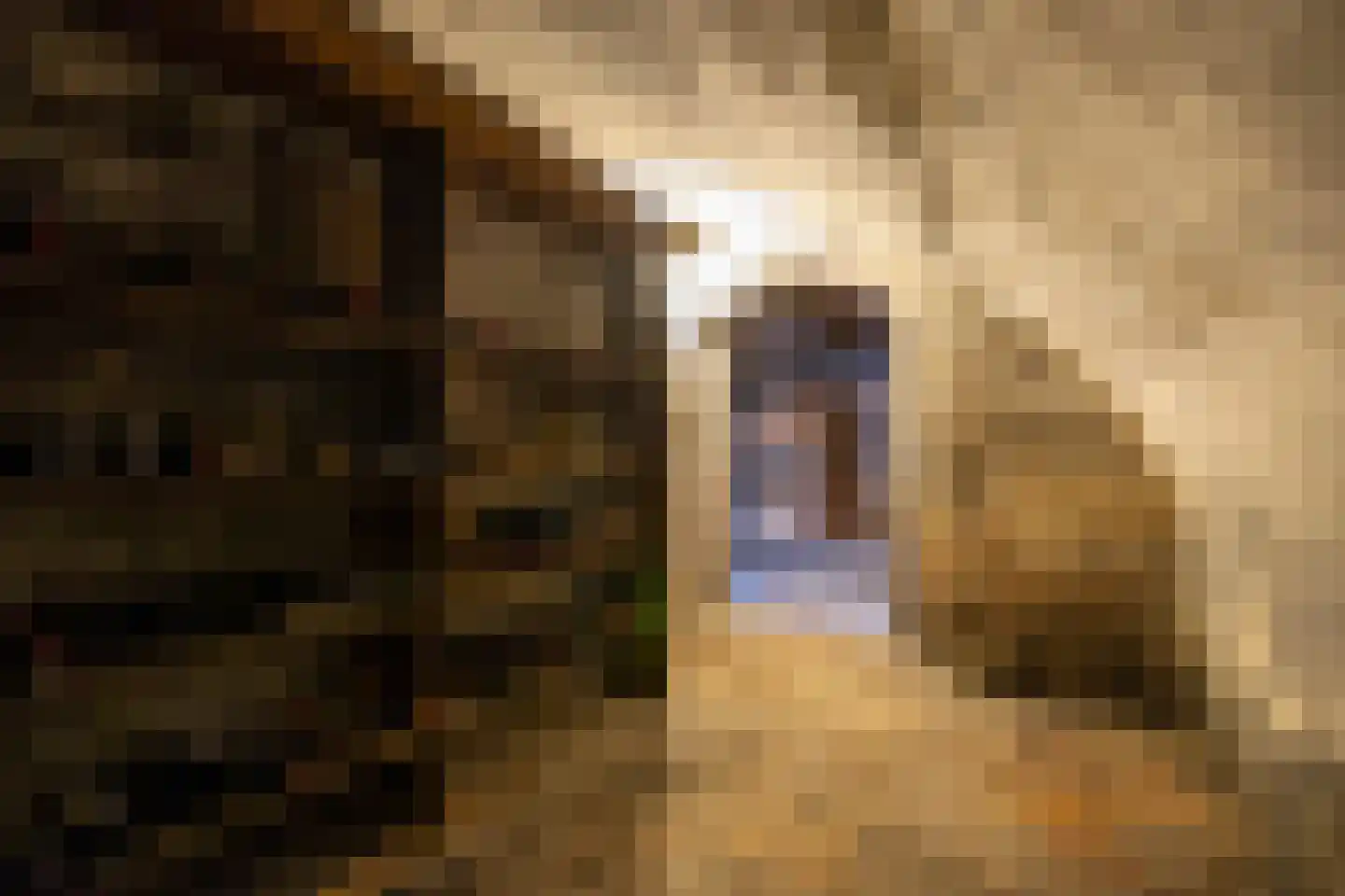 Bornhovestraat 43 Zutphen thumbnail 76