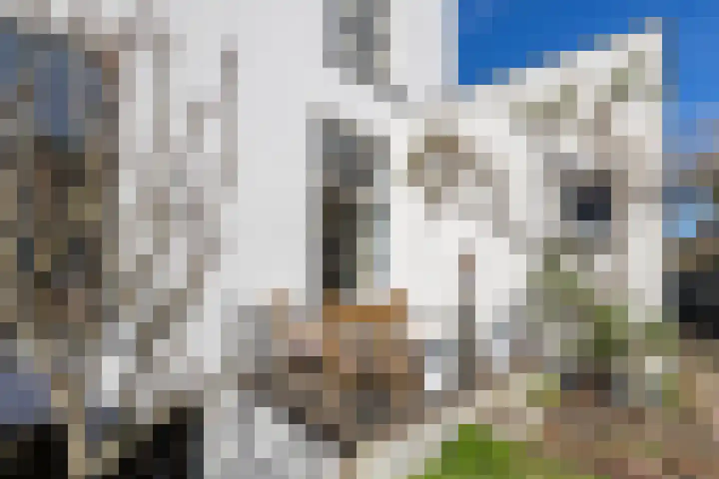 Bornhovestraat 43 Zutphen thumbnail 80