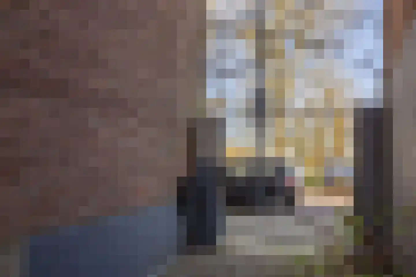 Bornhovestraat 43 Zutphen thumbnail 89