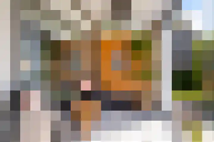 Bornialeane 31 Weidum thumbnail 27