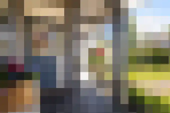 Bornialeane 31 Weidum thumbnail 30