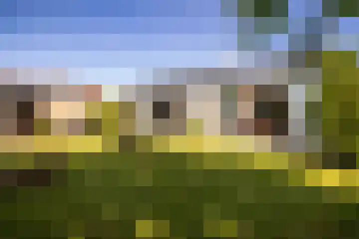 Bornialeane 31 Weidum thumbnail 31