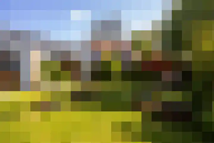 Bornialeane 31 Weidum thumbnail 32