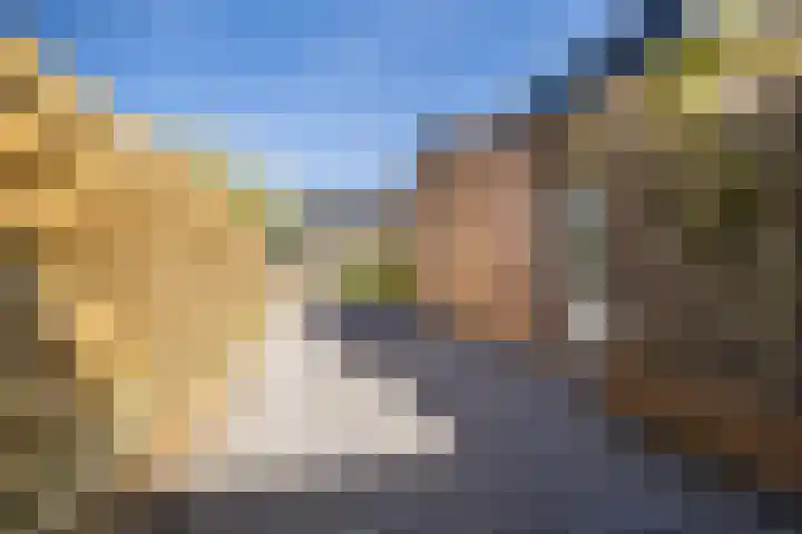 Bornialeane 31 Weidum thumbnail 41