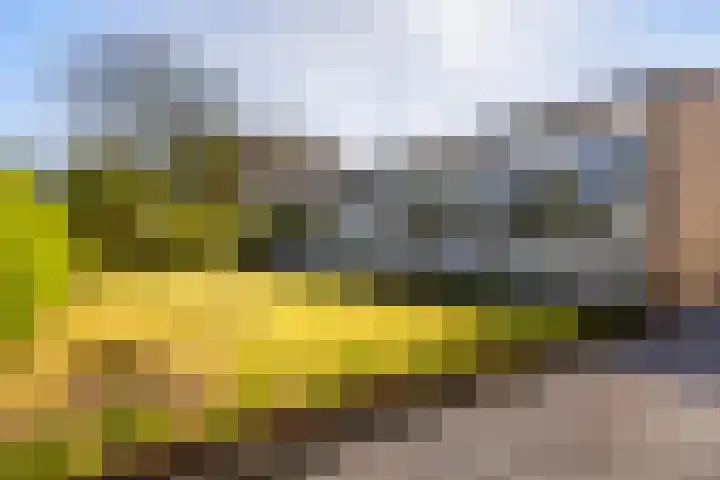 Bornialeane 31 Weidum thumbnail 44