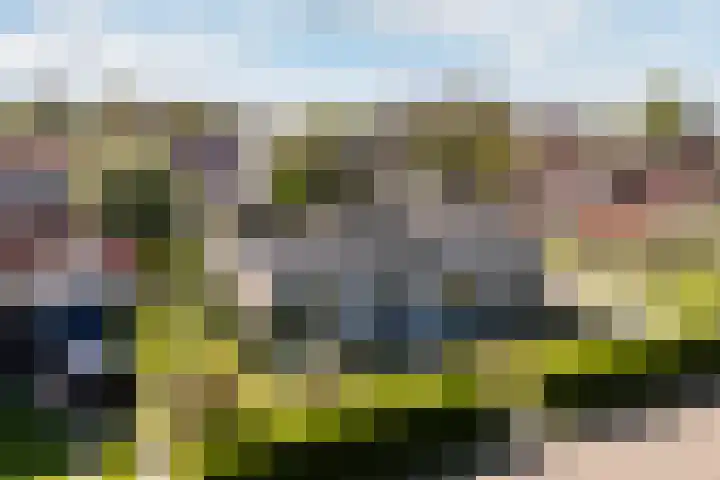 Bornialeane 31 Weidum thumbnail 49