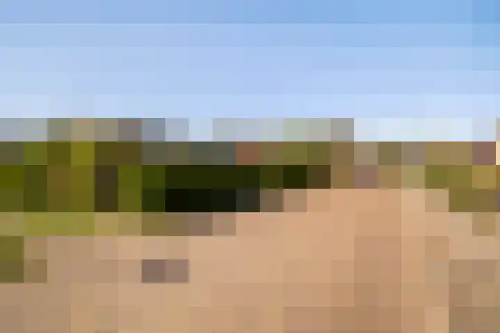 Bornialeane 31 Weidum thumbnail 50