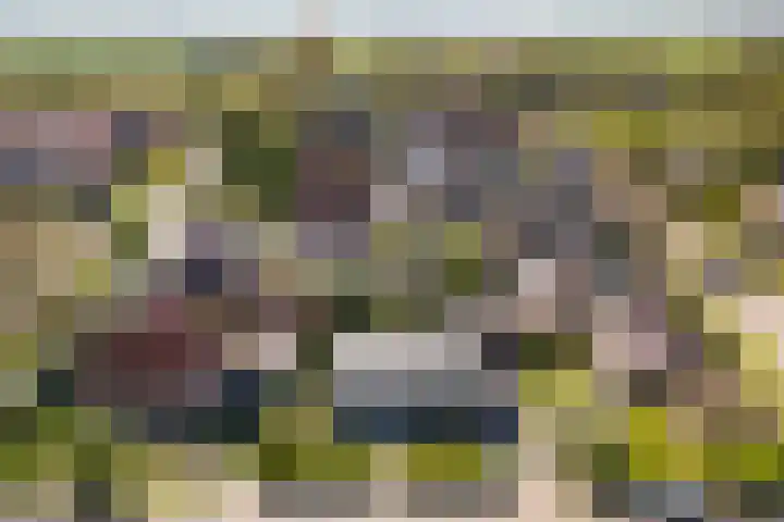Bornialeane 31 Weidum thumbnail 52