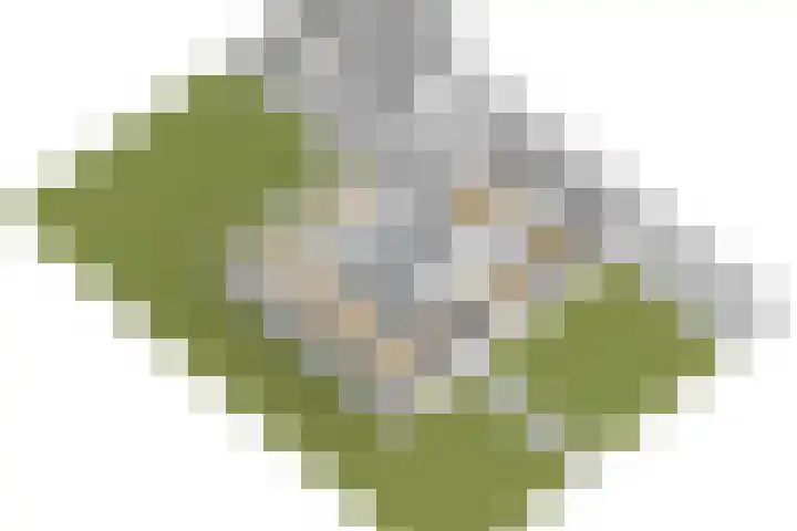 Bornialeane 31 Weidum thumbnail 62