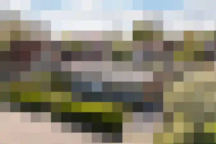 Bornialeane 31 Weidum thumbnail 63