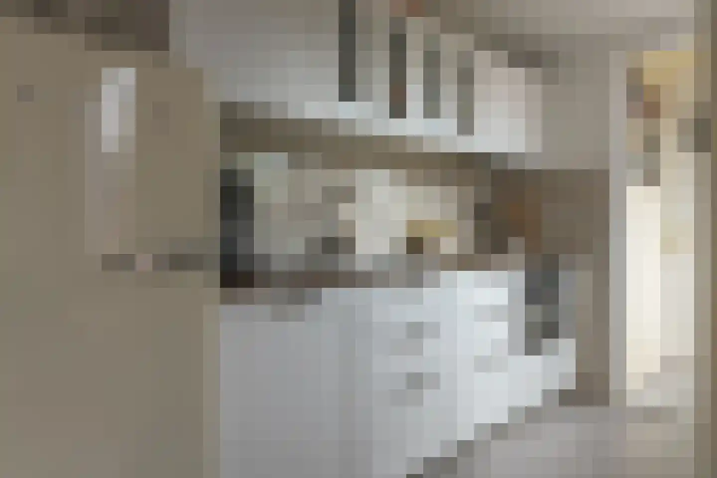 Borniastraat 75 Leeuwarden thumbnail 12