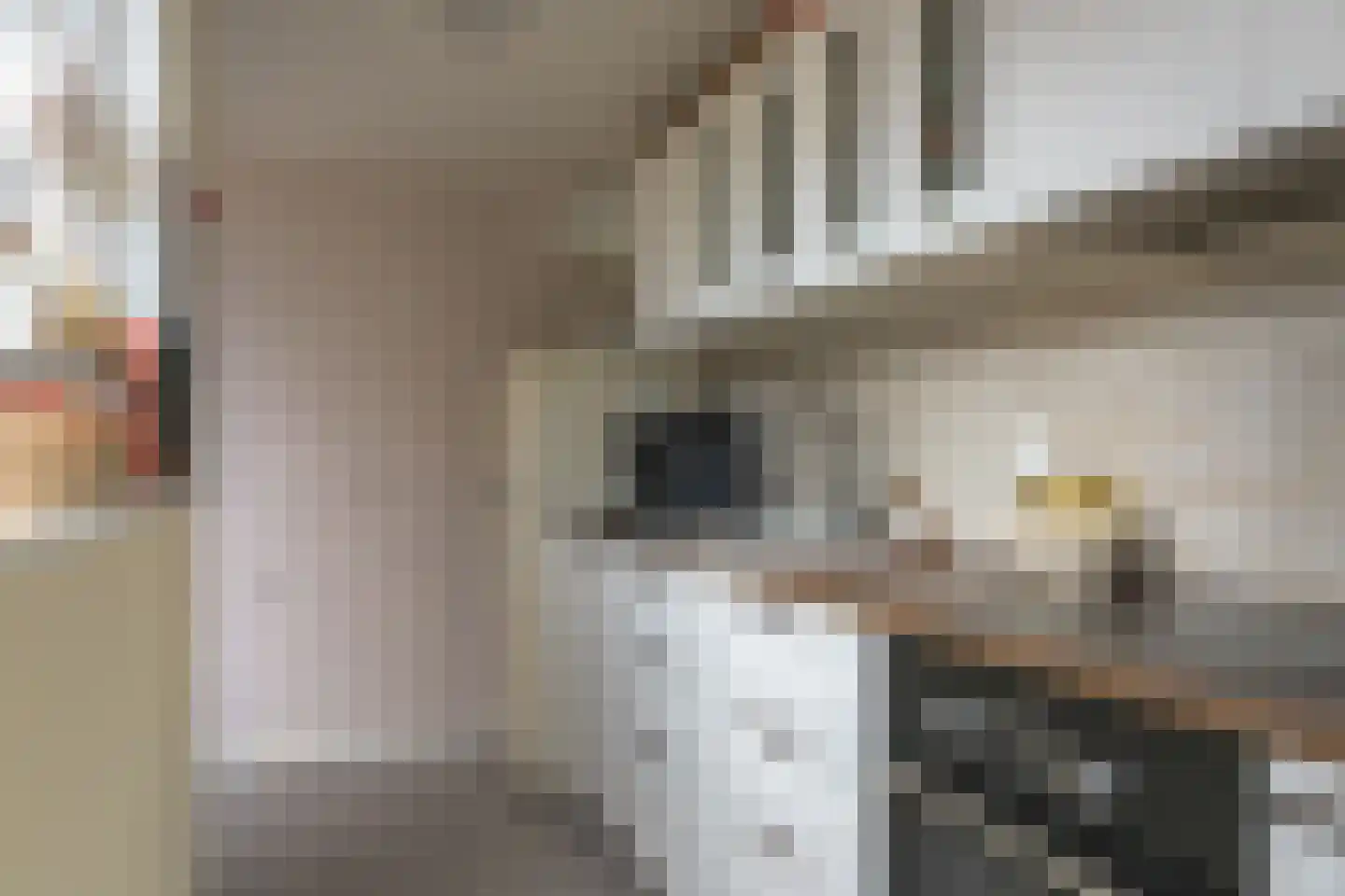 Borniastraat 75 Leeuwarden thumbnail 13