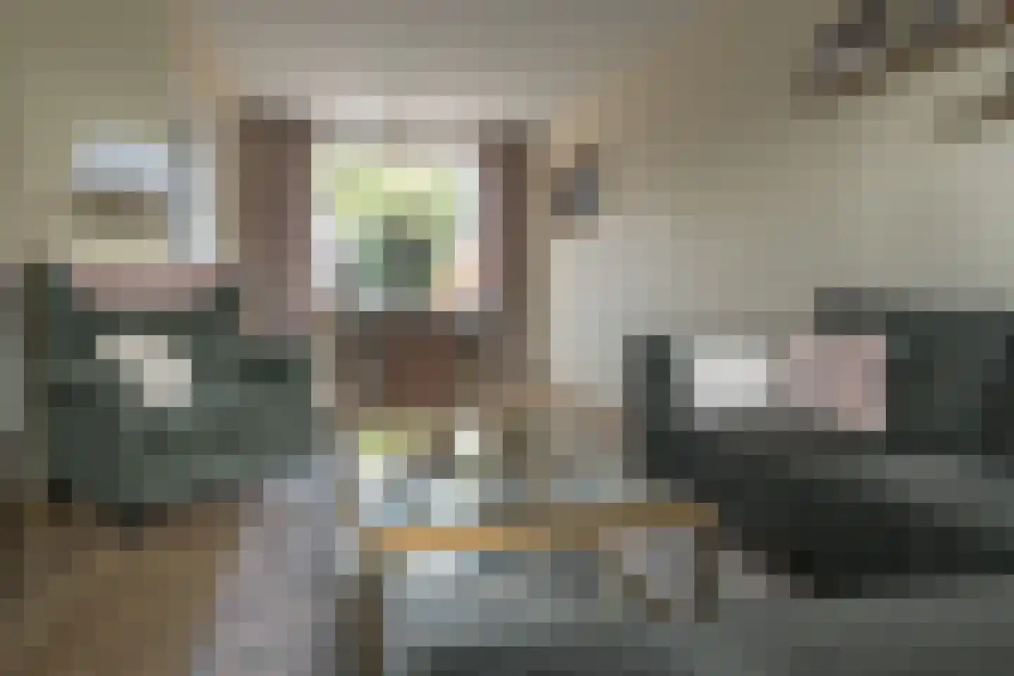 Borniastraat 75 Leeuwarden thumbnail 8