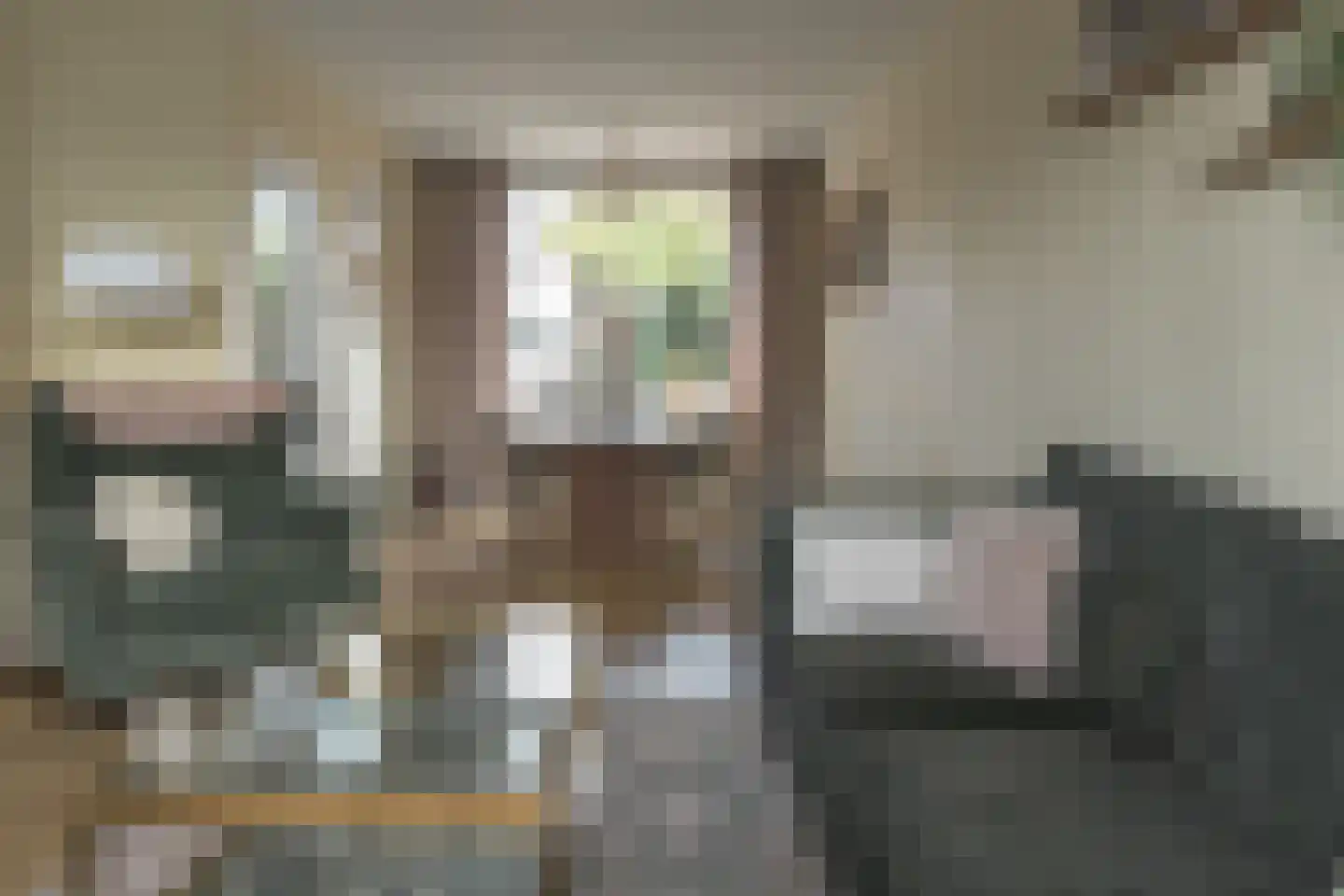 Borniastraat 75 Leeuwarden thumbnail 9