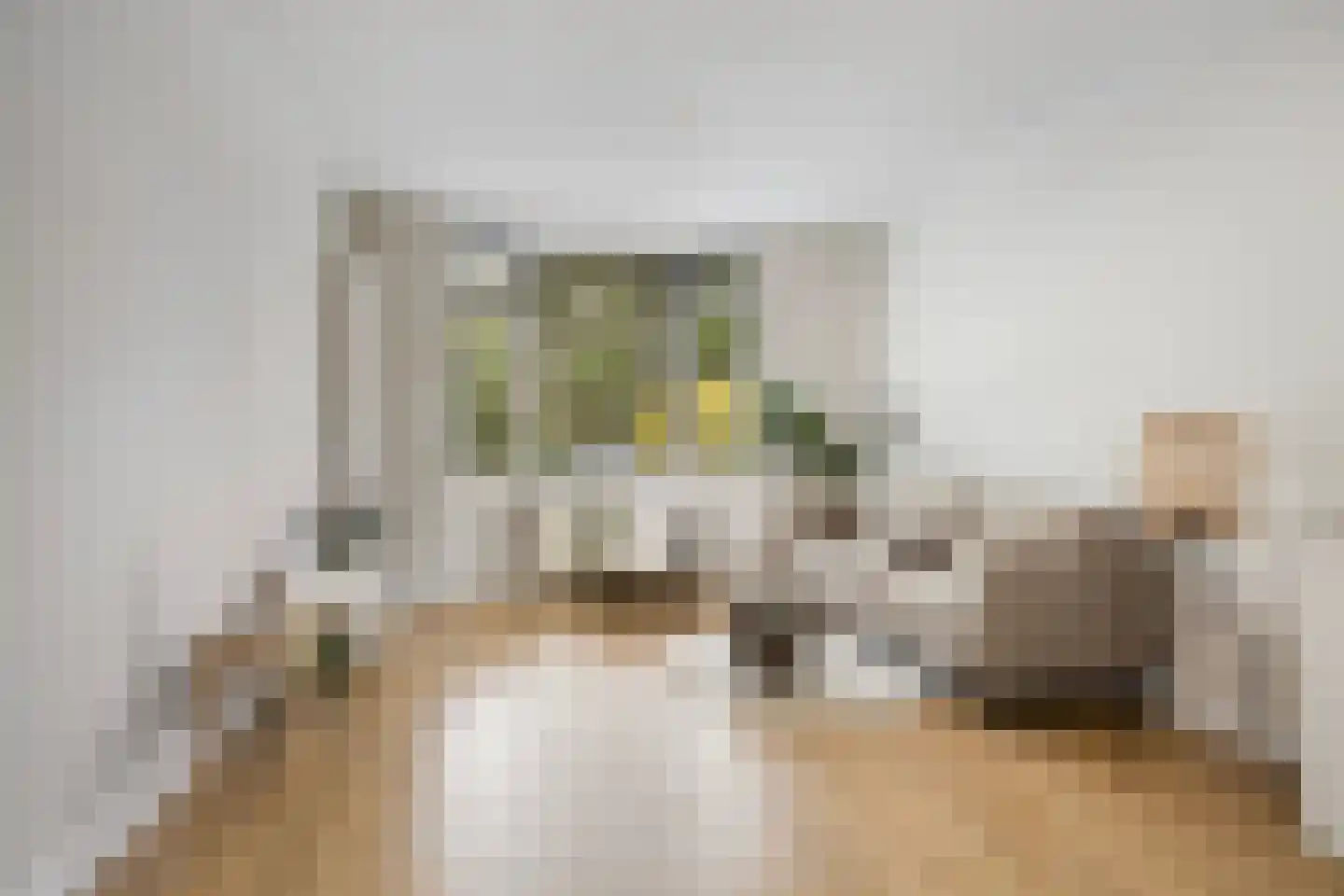 Borniastraat 93 Leeuwarden thumbnail 14