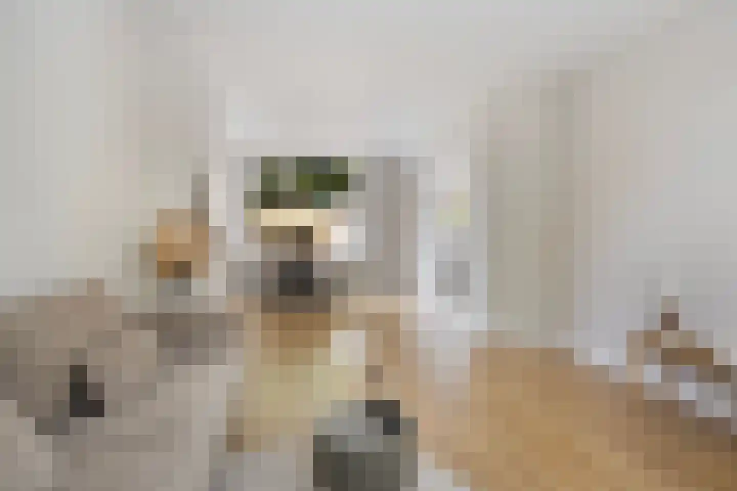 Borniastraat 93 Leeuwarden thumbnail 16