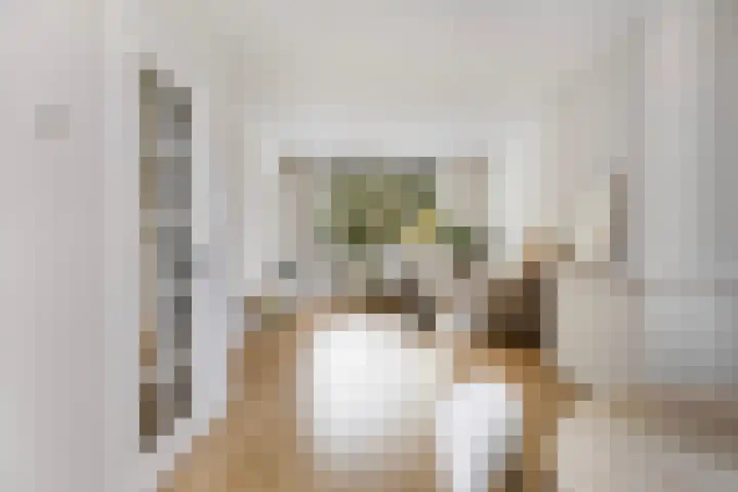 Borniastraat 93 Leeuwarden thumbnail 19